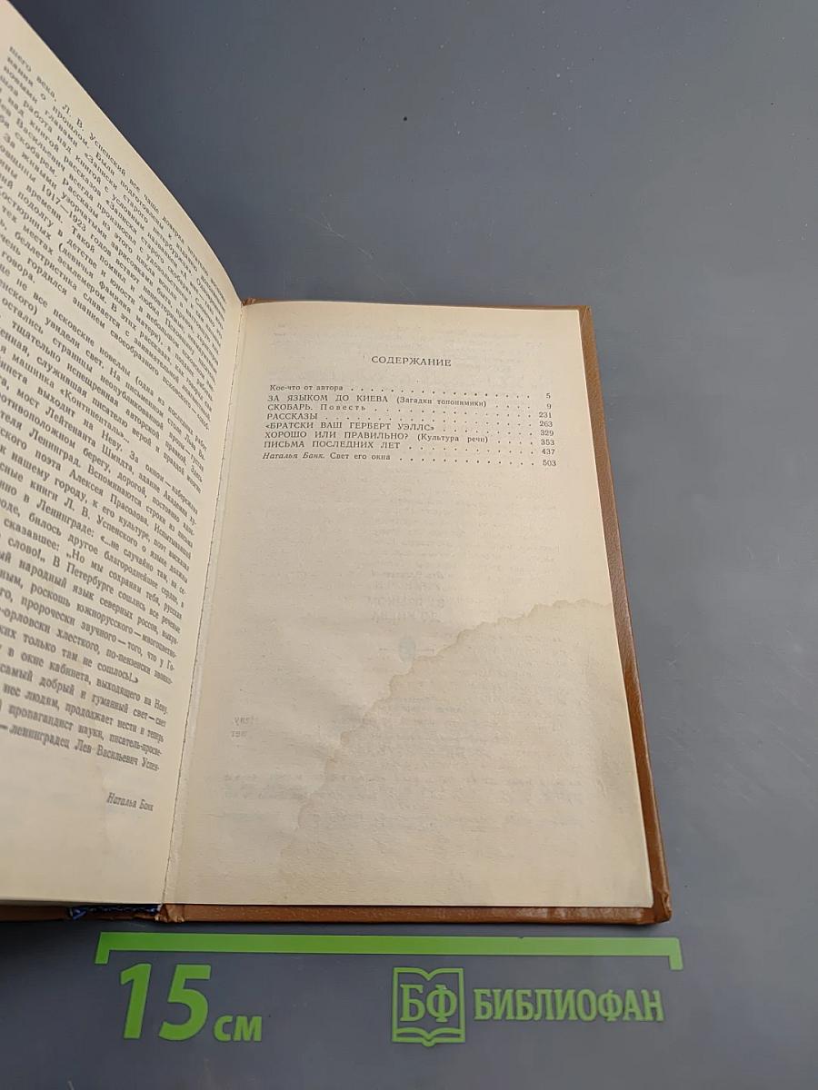 За языком до Киева