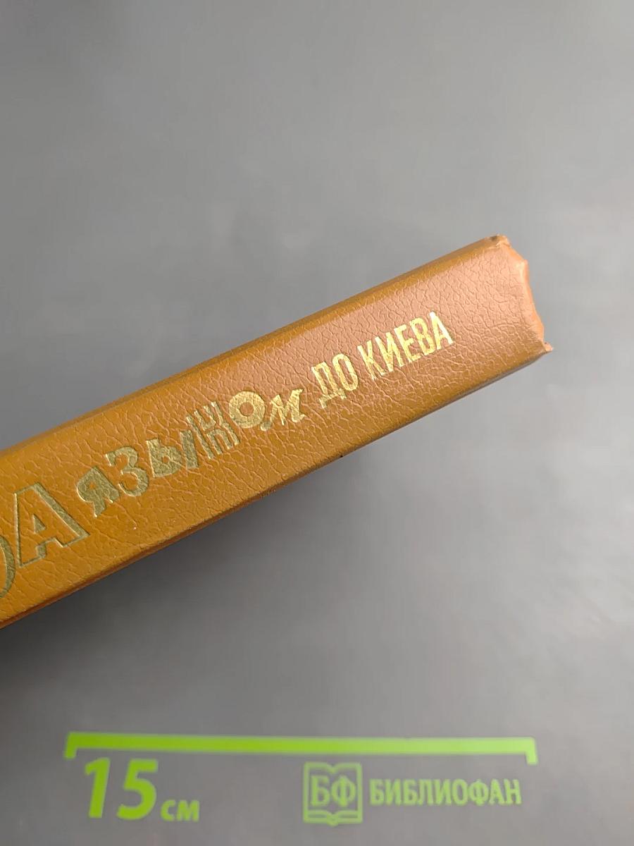 За языком до Киева