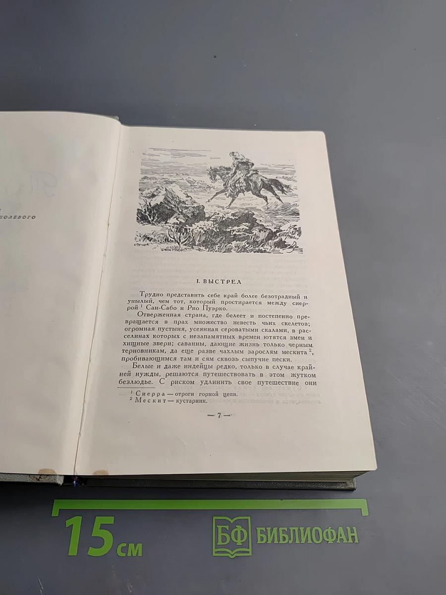 Твердая рука. Гамбусино