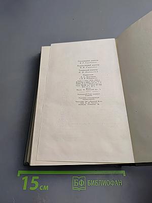 Твердая рука. Гамбусино