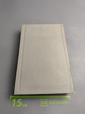 Твердая рука. Гамбусино