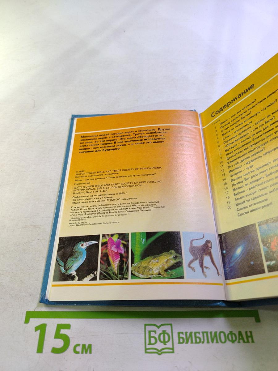 Жизнь — как она возникла? Путем эволюции или путем сотворения?