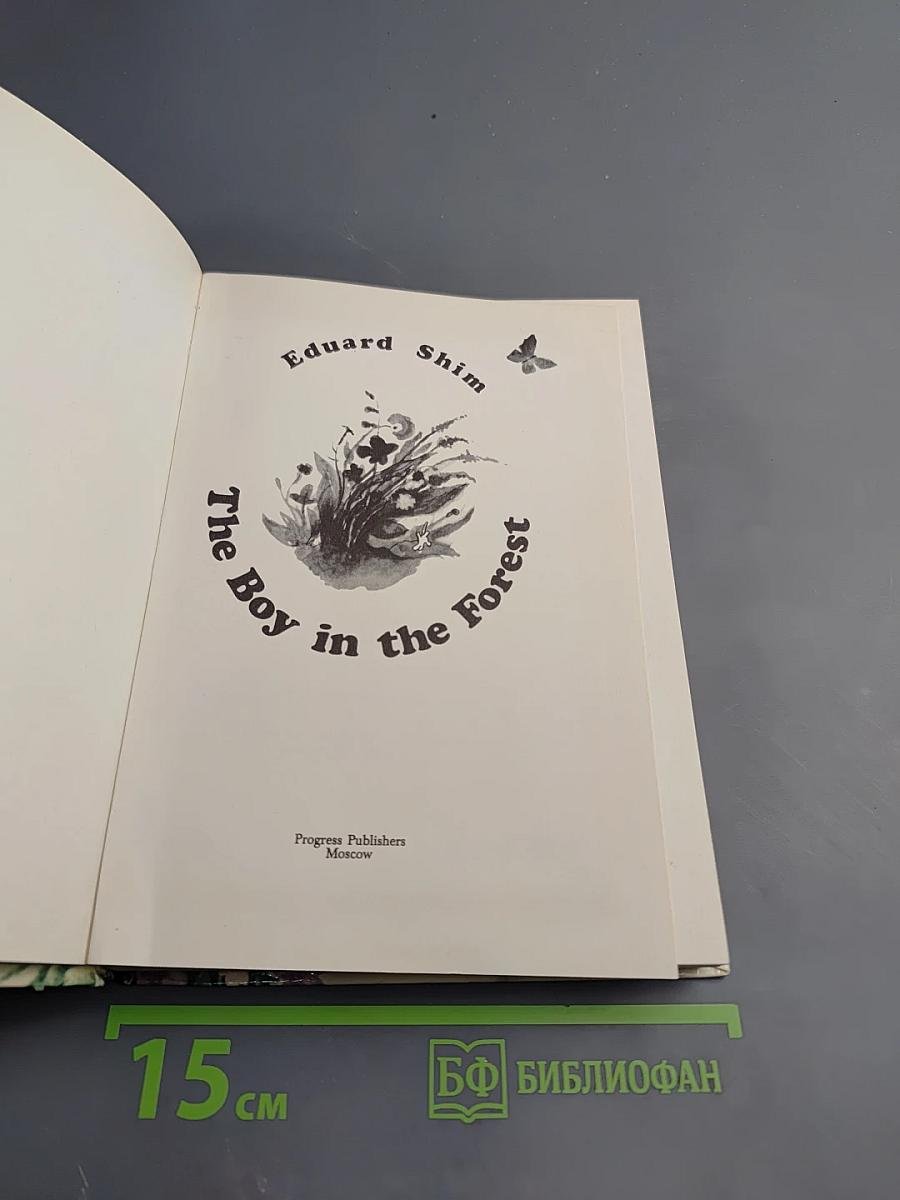 The Boy in the Forest