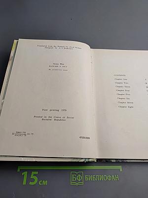 The Boy in the Forest