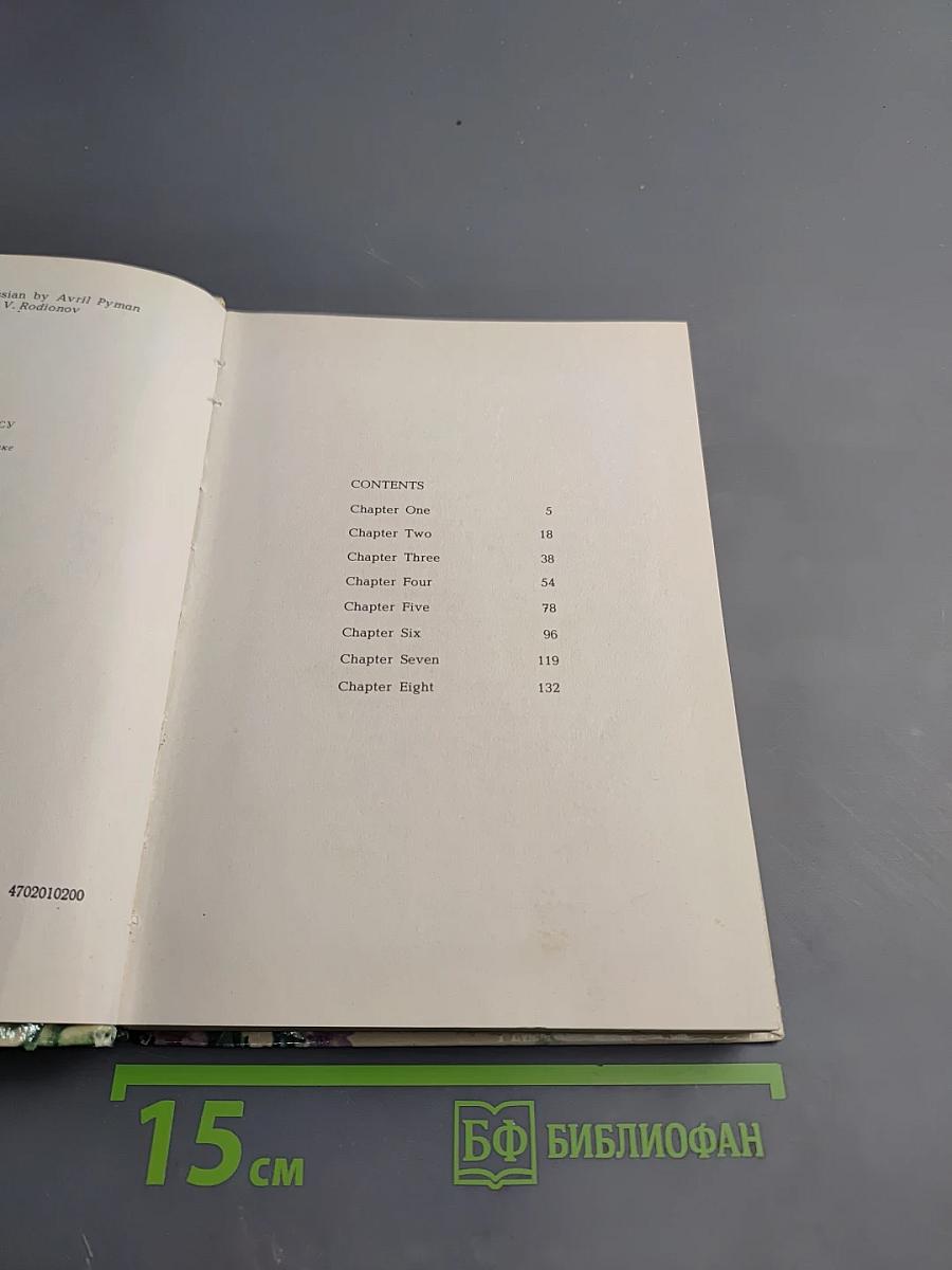 The Boy in the Forest