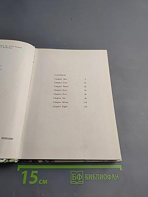 The Boy in the Forest