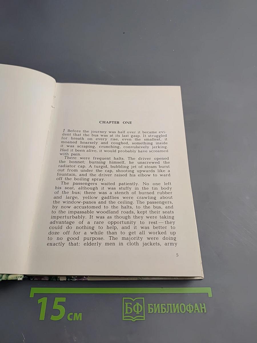 The Boy in the Forest