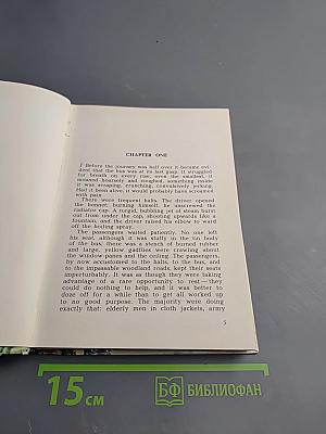 The Boy in the Forest