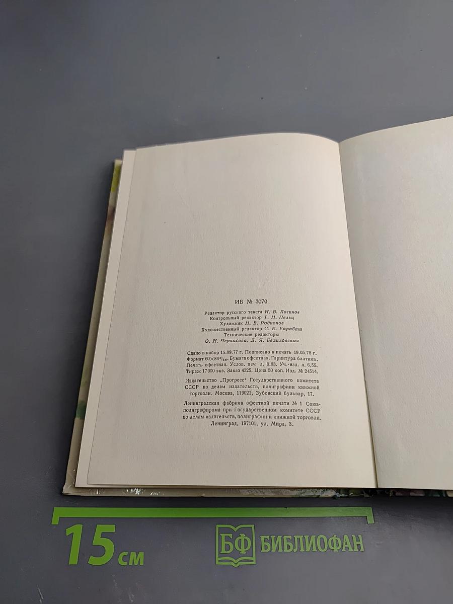 The Boy in the Forest