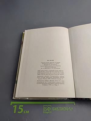 The Boy in the Forest