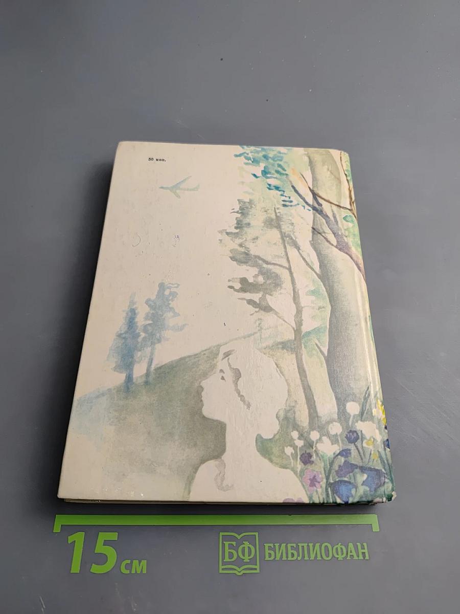 The Boy in the Forest