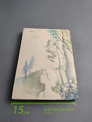 The Boy in the Forest