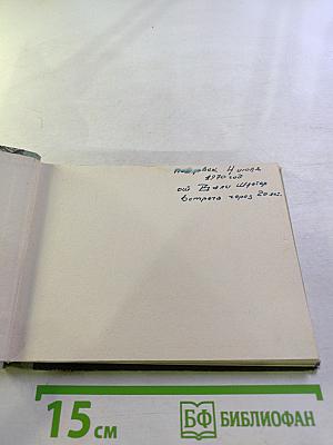 В Павловском парке