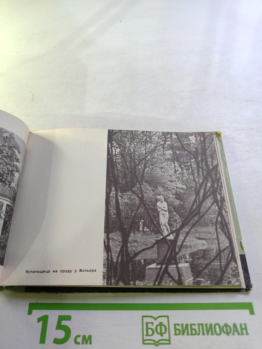 В Павловском парке