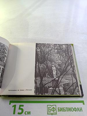 В Павловском парке