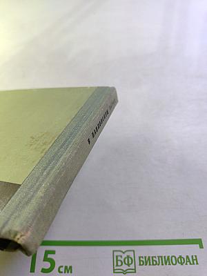 В Павловском парке