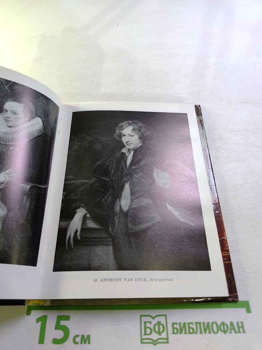 The hermitage western european painting