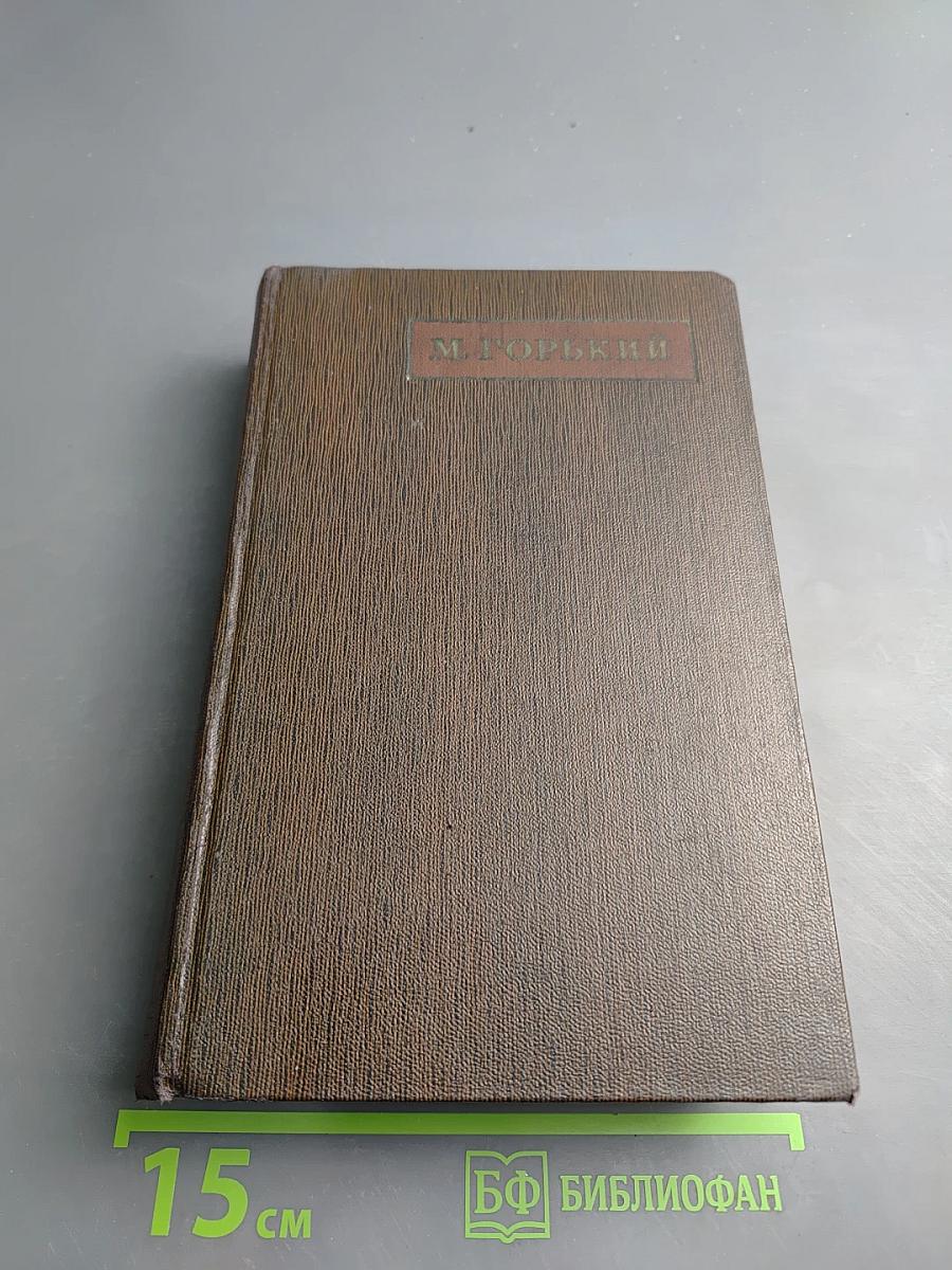 Городок Окуров. Жизнь Матвея Кожемякина. Наброски