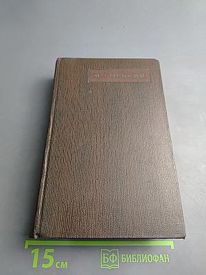 Городок Окуров. Жизнь Матвея Кожемякина. Наброски