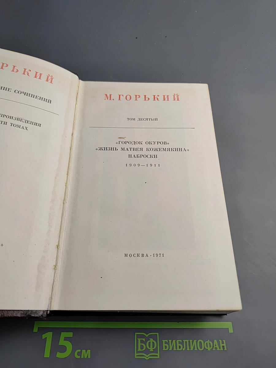 Городок Окуров. Жизнь Матвея Кожемякина. Наброски