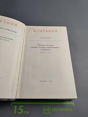 Городок Окуров. Жизнь Матвея Кожемякина. Наброски