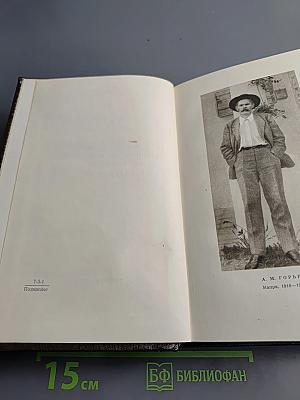 Городок Окуров. Жизнь Матвея Кожемякина. Наброски