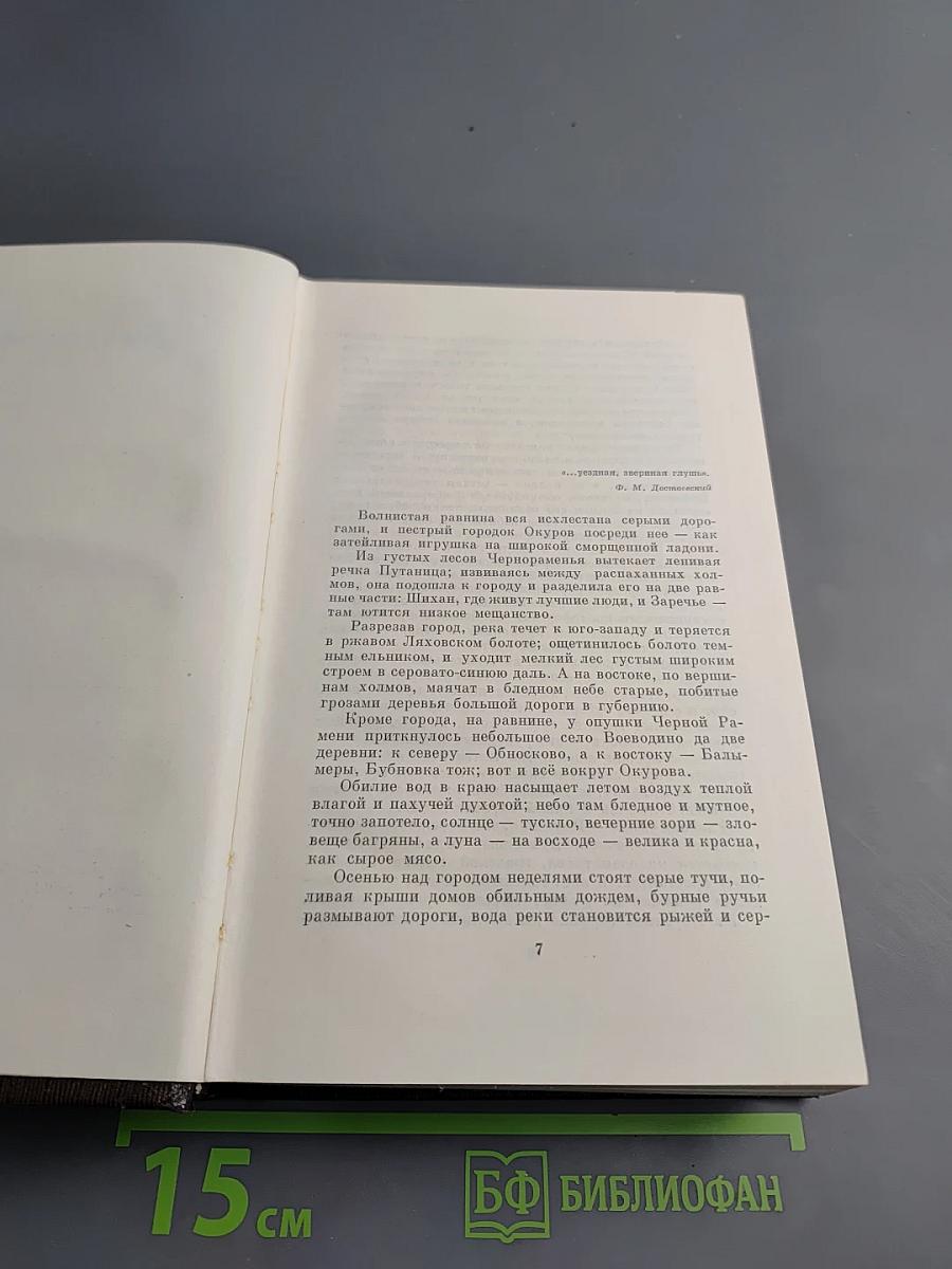 Городок Окуров. Жизнь Матвея Кожемякина. Наброски