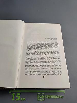 Городок Окуров. Жизнь Матвея Кожемякина. Наброски