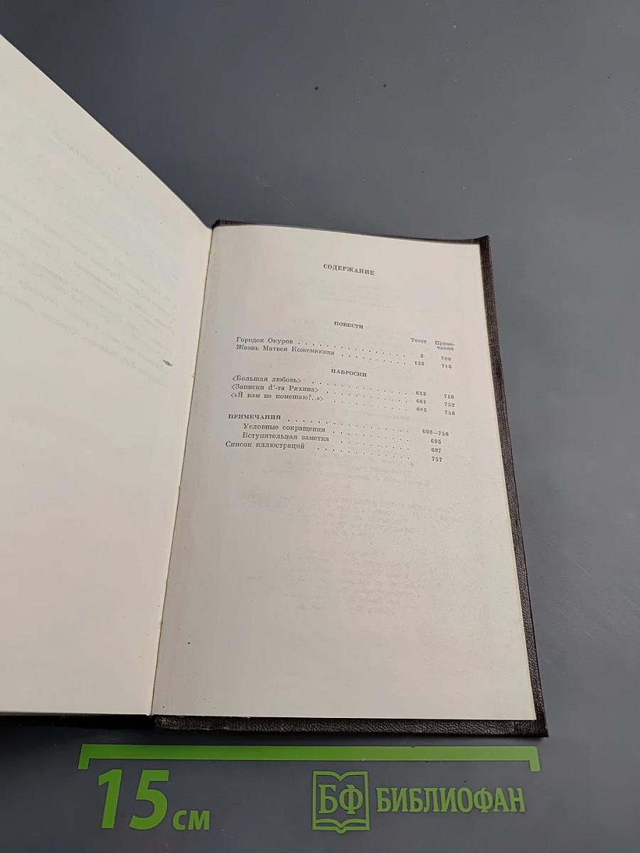 Городок Окуров. Жизнь Матвея Кожемякина. Наброски