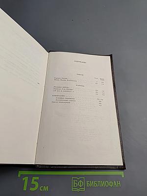 Городок Окуров. Жизнь Матвея Кожемякина. Наброски