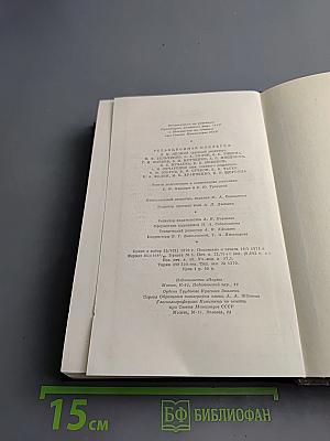 Городок Окуров. Жизнь Матвея Кожемякина. Наброски