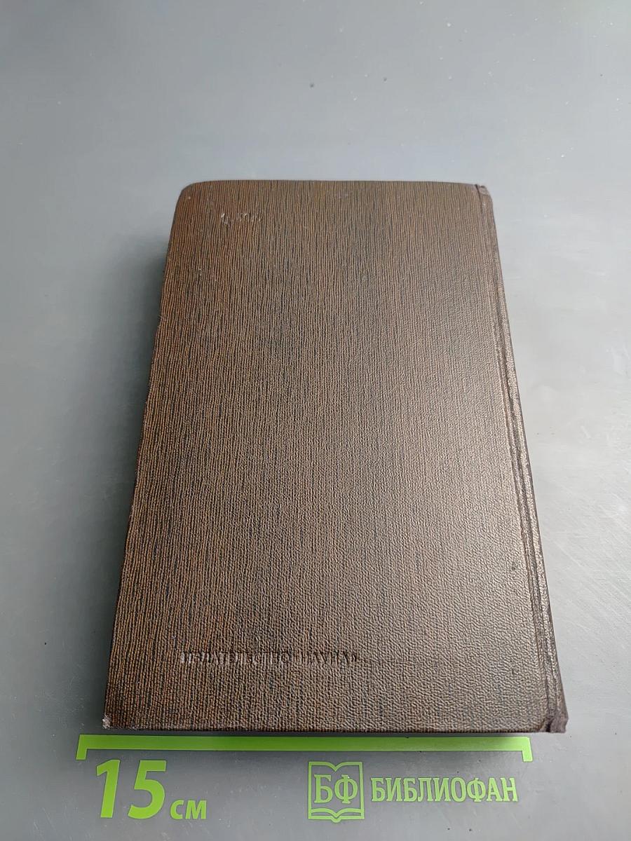 Городок Окуров. Жизнь Матвея Кожемякина. Наброски