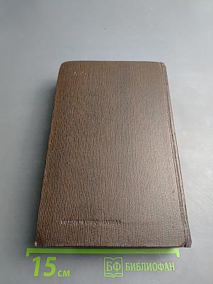 Городок Окуров. Жизнь Матвея Кожемякина. Наброски