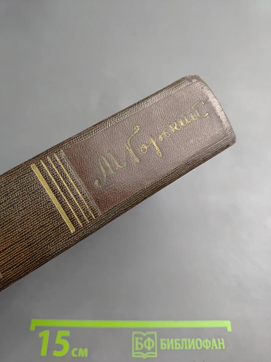 Городок Окуров. Жизнь Матвея Кожемякина. Наброски