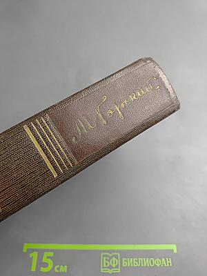 Городок Окуров. Жизнь Матвея Кожемякина. Наброски