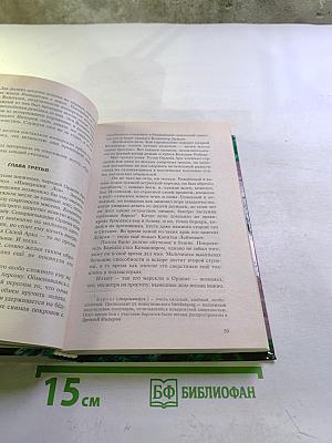 Алмазный меч, Деревянный меч. Книга первая