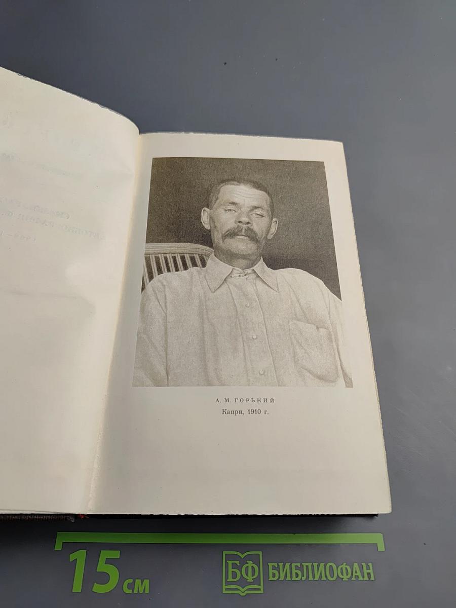 М. Горький. Том двенадцатый. Сказки, Рассказы. <Автобиография Ф. И. Шаляпина>
