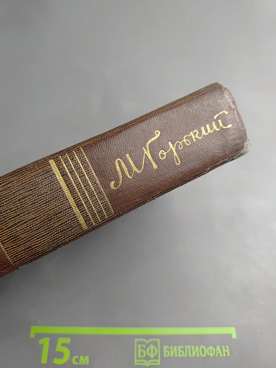 М. Горький. Том двенадцатый. Сказки, Рассказы. <Автобиография Ф. И. Шаляпина>