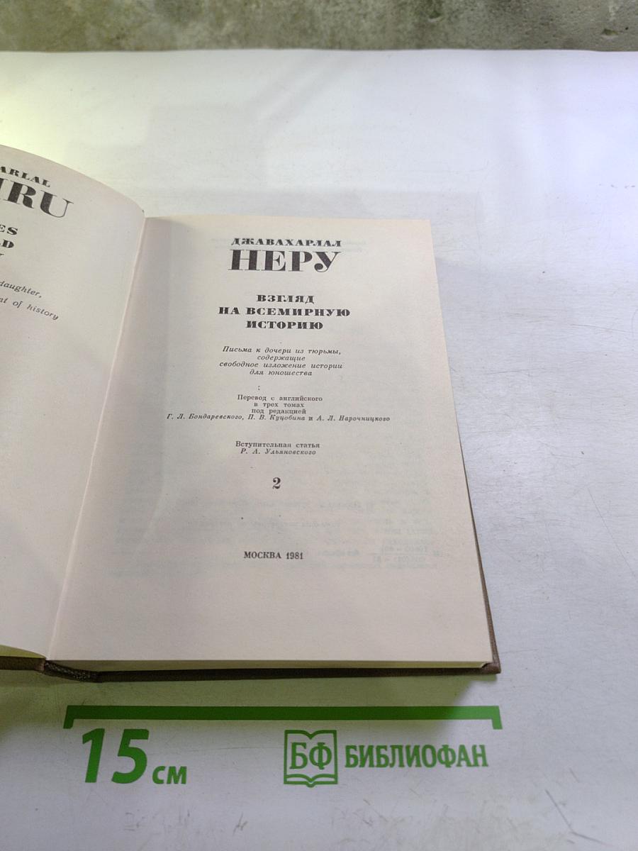 Взгляд на всемирную историю