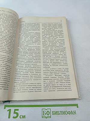 Огород у дома