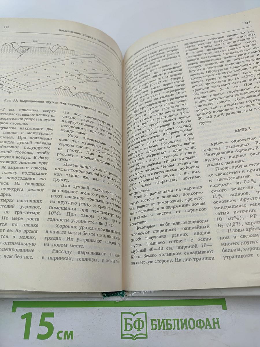 Огород у дома