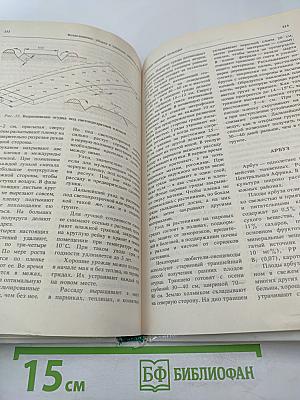 Огород у дома