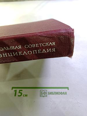 Большая Советская Энциклопедия. Том 24: Собаки — Струна
