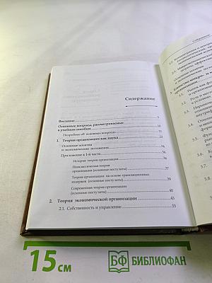 Теория экономической организации. Учебное пособие