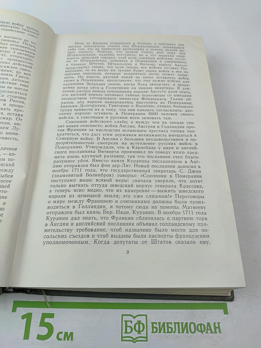 История России с древнейших времен. Книга IX (Тома 17-18)