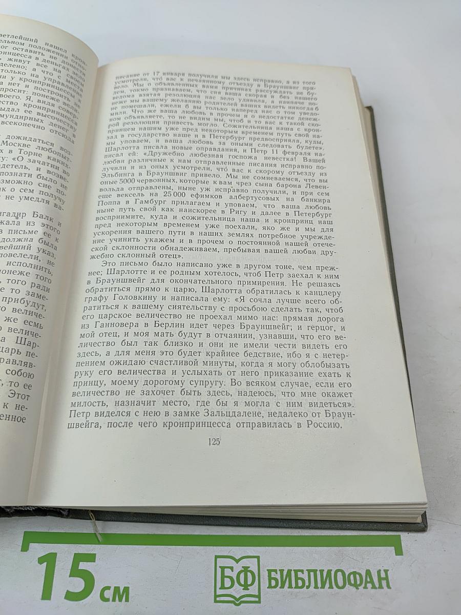 История России с древнейших времен. Книга IX (Тома 17-18)