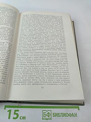 История России с древнейших времен. Книга IX (Тома 17-18)