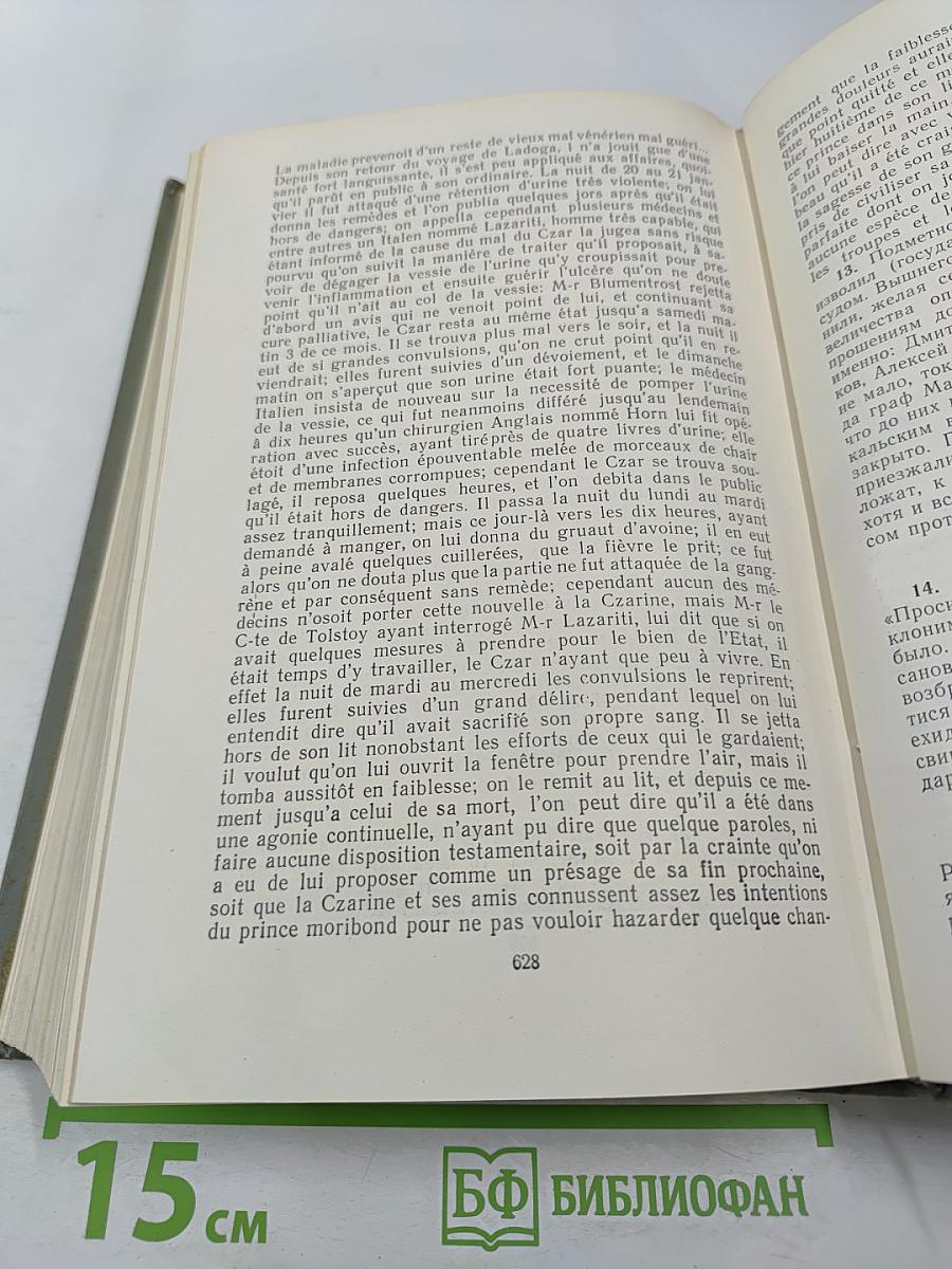 История России с древнейших времен. Книга IX (Тома 17-18)