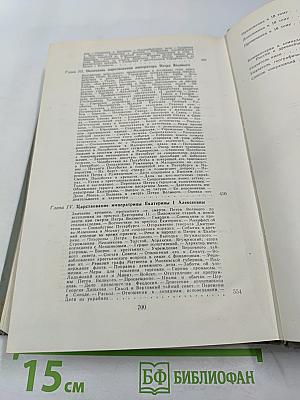 История России с древнейших времен. Книга IX (Тома 17-18)