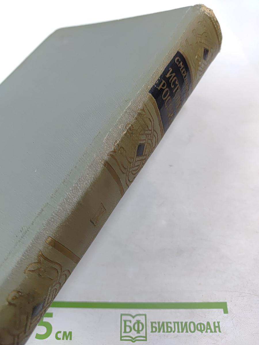 История России с древнейших времен. Книга IX (Тома 17-18)